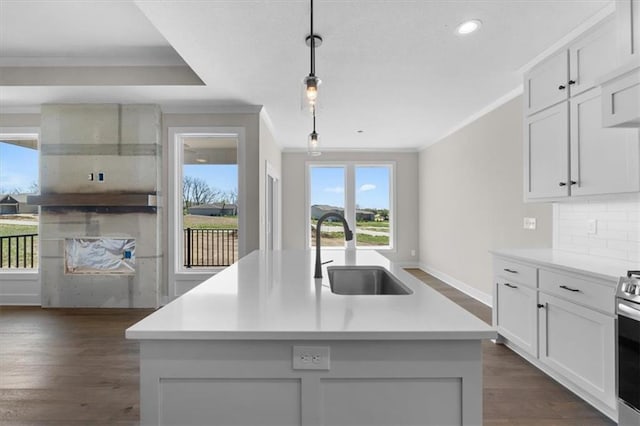 kitchen with light countertops, ornamental molding, a sink, dark wood-type flooring, and baseboards