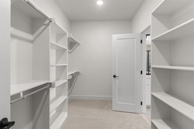 walk in closet with light carpet