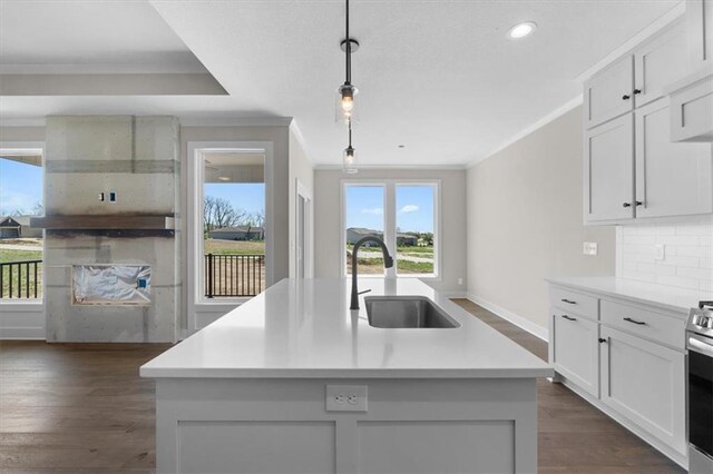 25031 W 94th Ter, Lenexa, KS 66227 - kitchen with a sink, crown molding, dark wood-style flooring, baseboards, and light countertops
