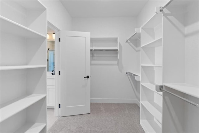 25029 W 94th Ter, Lenexa, KS 66227 - spacious closet with carpet flooring