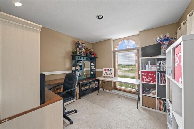 carpeted home office featuring a textured ceiling