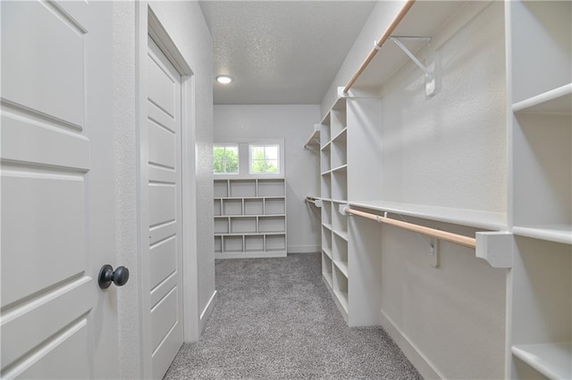 2850 W Wabash St, Olathe, KS 66061 - spacious closet featuring carpet flooring