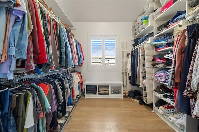 spacious closet featuring light wood-style flooring