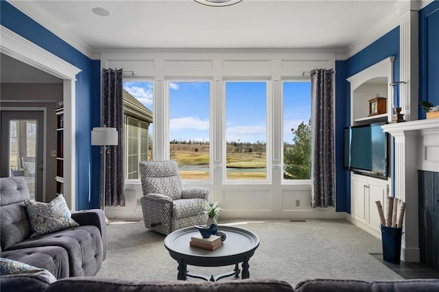 interior space with ornamental molding, carpet, and a healthy amount of sunlight