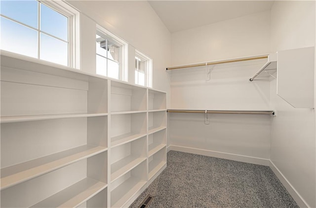 spacious closet featuring visible vents and carpet