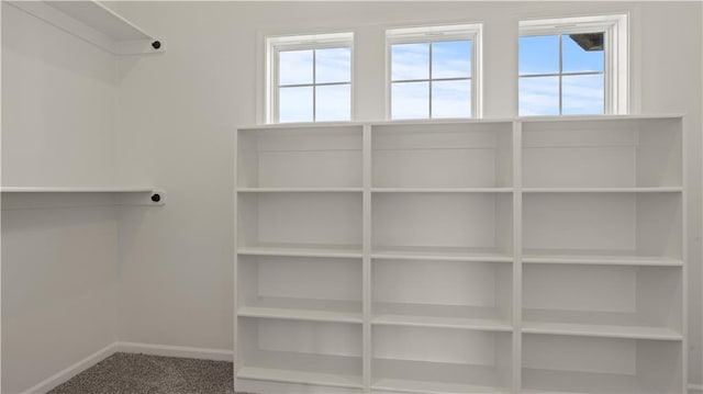 walk in closet featuring carpet floors