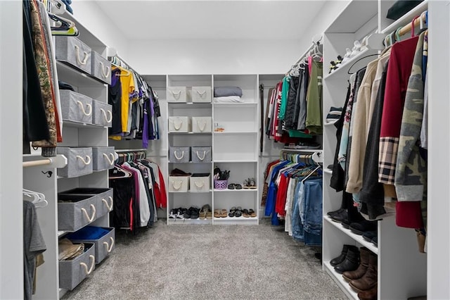 spacious closet featuring carpet flooring