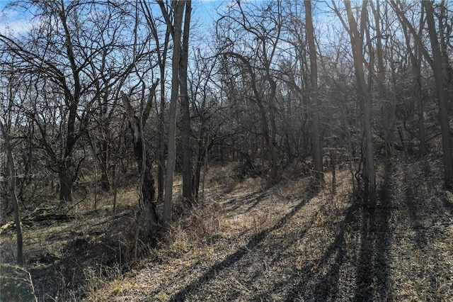 view of local wilderness