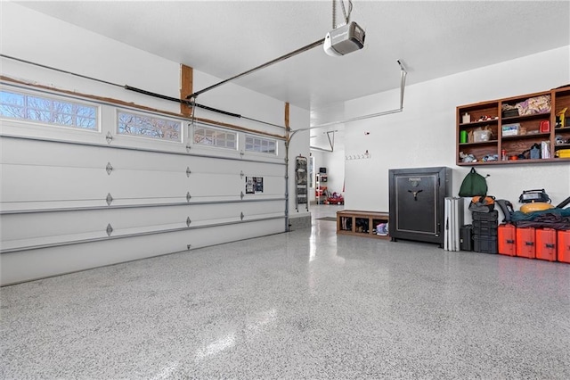 13723 Raliegh Ln, Holt, MO 64048 - garage with a garage door opener