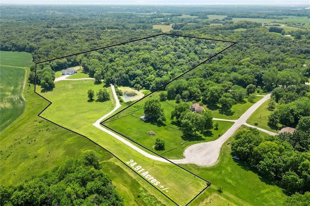 13723 Raliegh Ln, Holt, MO 64048 - aerial view of sparsely populated area featuring property boundaries highlighted