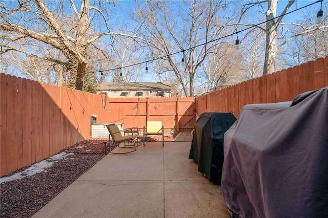 view of patio / terrace with a fenced backyard and area for grilling