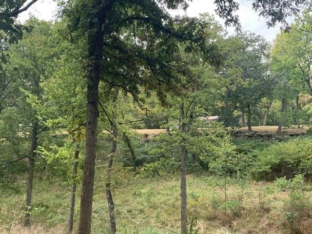 17017 Millcreek Rd, Loch Lloyd, MO 64012