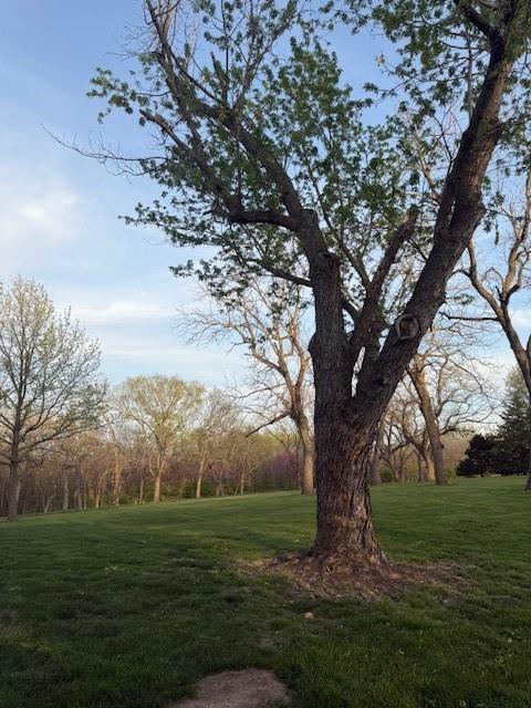 17017 Millcreek Rd, Loch Lloyd, MO 64012