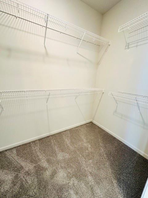 spacious closet with carpet flooring