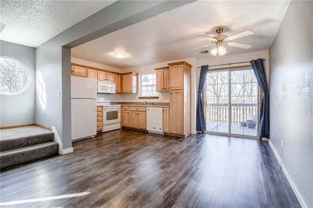 kitchen featuring white appliances, baseboards, dark wood-type flooring, and light brown cabinetry