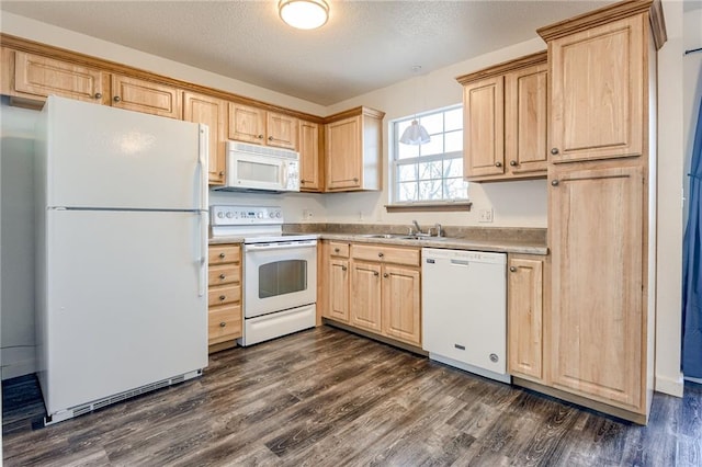 kitchen featuring white appliances, dark wood finished floors, and light brown cabinetry