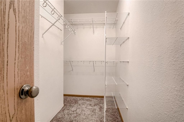 spacious closet featuring carpet floors