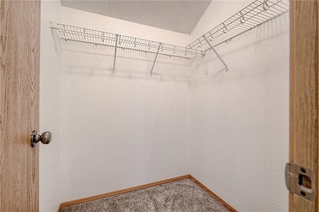 spacious closet with carpet flooring