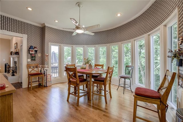 dining room with plenty of natural light, a fireplace with raised hearth, crown molding, and light wood finished floors