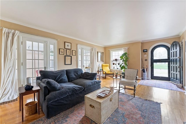319 S Elm St, Ottawa, KS 66067 - living area featuring ornamental molding and wood-type flooring