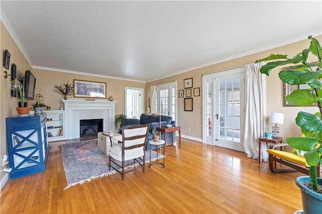 319 S Elm St, Ottawa, KS 66067 - living room with light wood finished floors, crown molding, and a fireplace with flush hearth