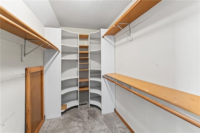 spacious closet with carpet flooring