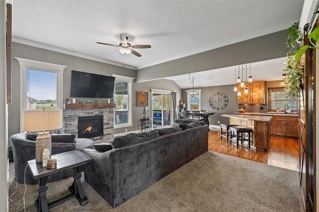 20880 W 224th St, Spring Hill, KS 66083 - living room with ceiling fan, plenty of natural light, a stone fireplace, crown molding, and carpet floors