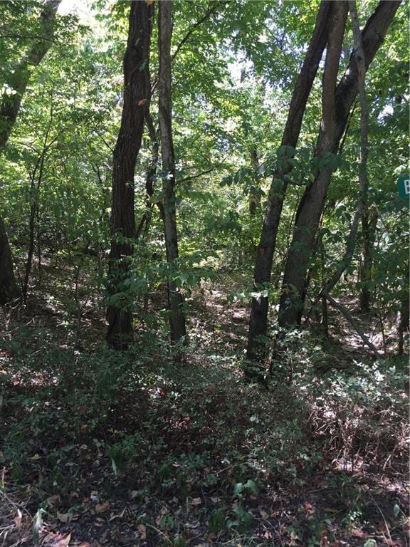 98 Locust Dr, Mound City, KS 66056 - photo 1