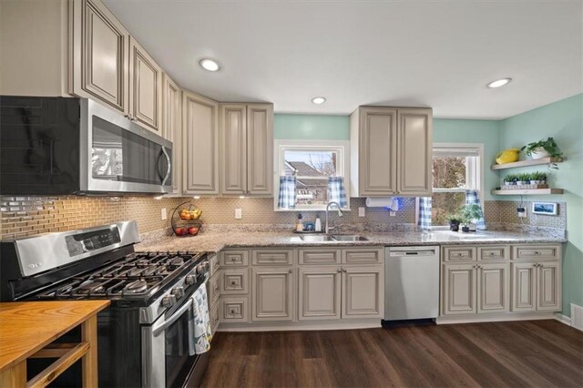 kitchen featuring appliances with stainless steel finishes, a wealth of natural light, dark wood-style flooring, and a sink