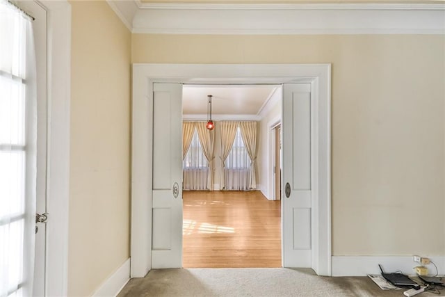 interior space with ornamental molding and carpet