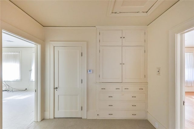 view of closet