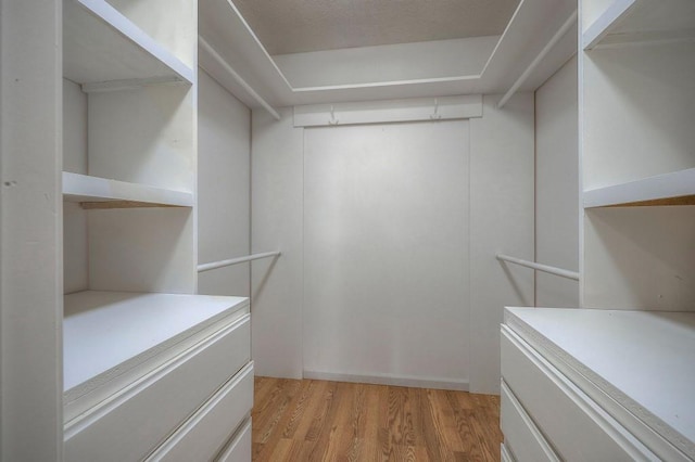 spacious closet with light wood-style floors