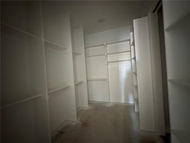 view of walk in closet