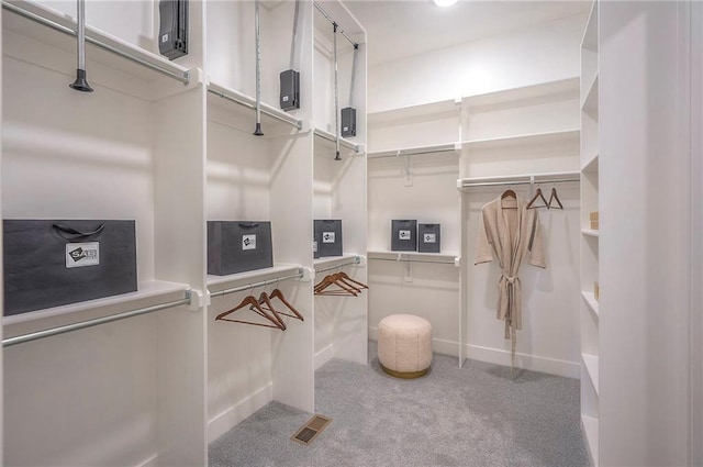 17372 S Kaw St, Olathe, KS 66062 - walk in closet featuring carpet floors