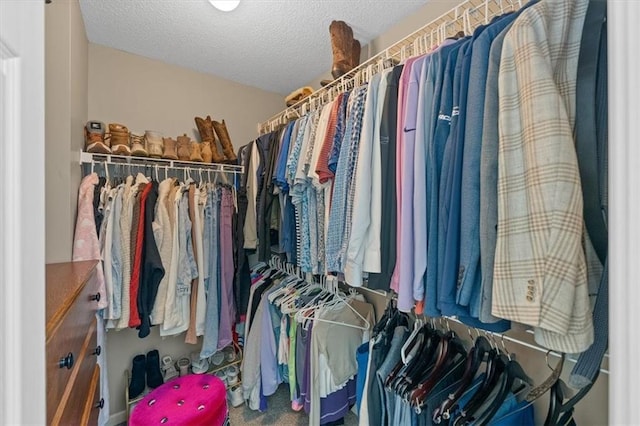 view of spacious closet