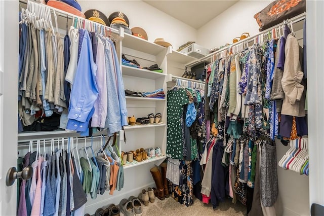 spacious closet featuring carpet floors