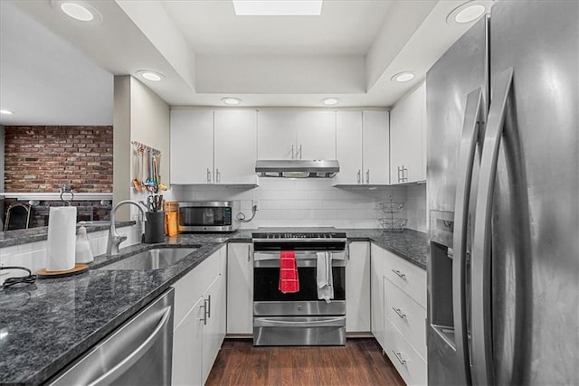 kitchen featuring tasteful backsplash, dark wood-type flooring, stainless steel appliances, under cabinet range hood, and a sink