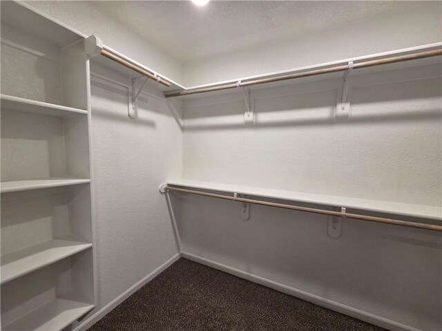 542 N Lexington St, Adrian, MO 64720 - walk in closet featuring dark colored carpet