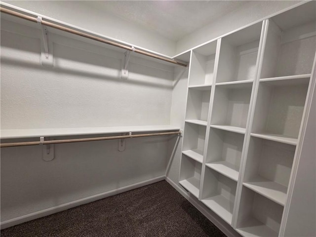 540 N Lexington St, Adrian, MO 64720 - spacious closet featuring dark colored carpet