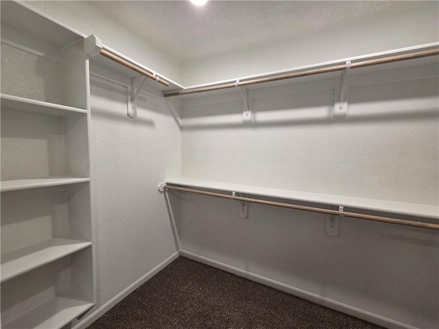 540 N Lexington St, Adrian, MO 64720 - walk in closet featuring dark colored carpet
