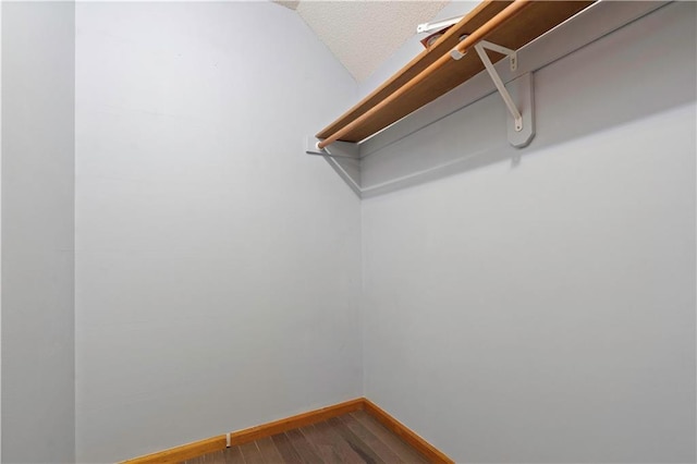 spacious closet featuring dark wood finished floors