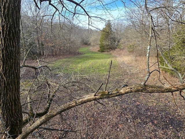 view of landscape