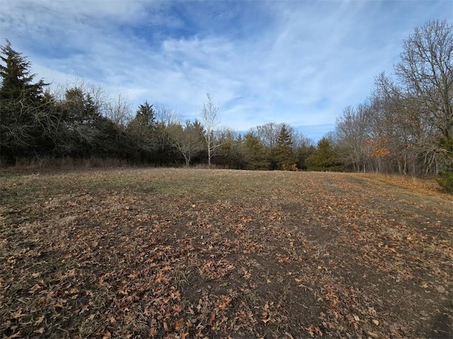 view of local wilderness