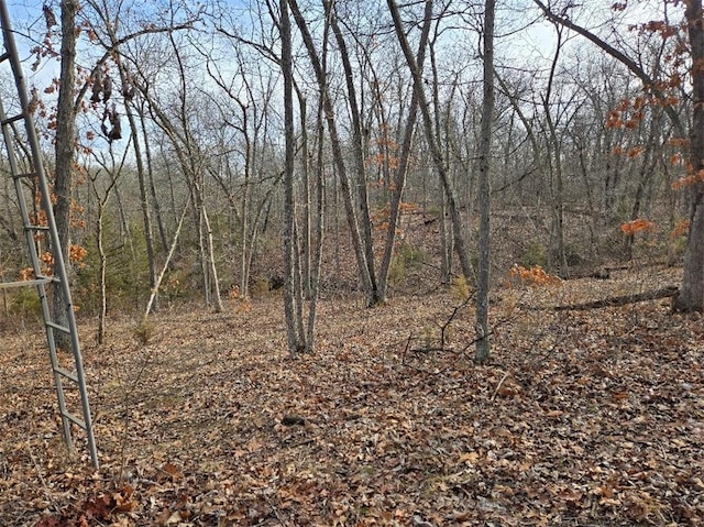 view of landscape with a view of trees