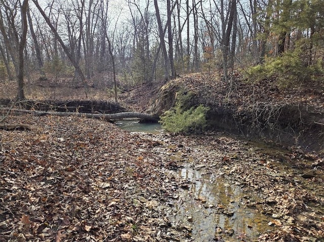 view of landscape featuring a view of trees