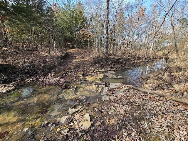 property view of water with a forest view