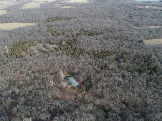 bird's eye view with a view of trees