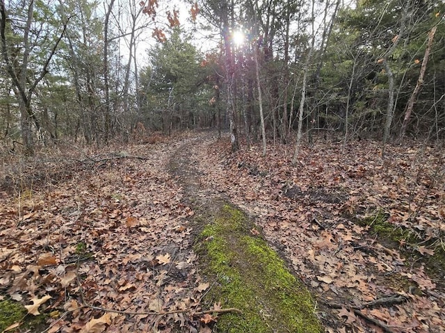 view of local wilderness