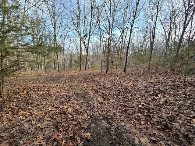 view of landscape