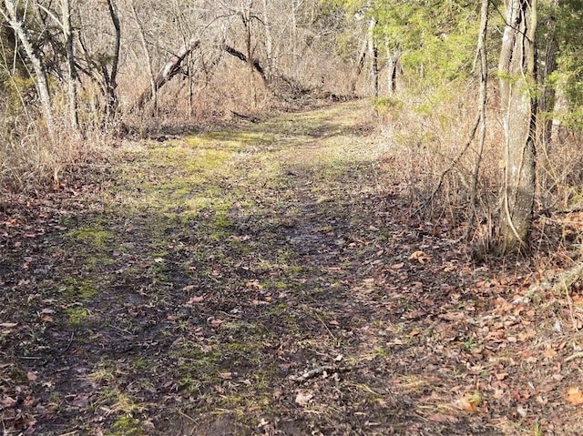 view of nature featuring a forest view